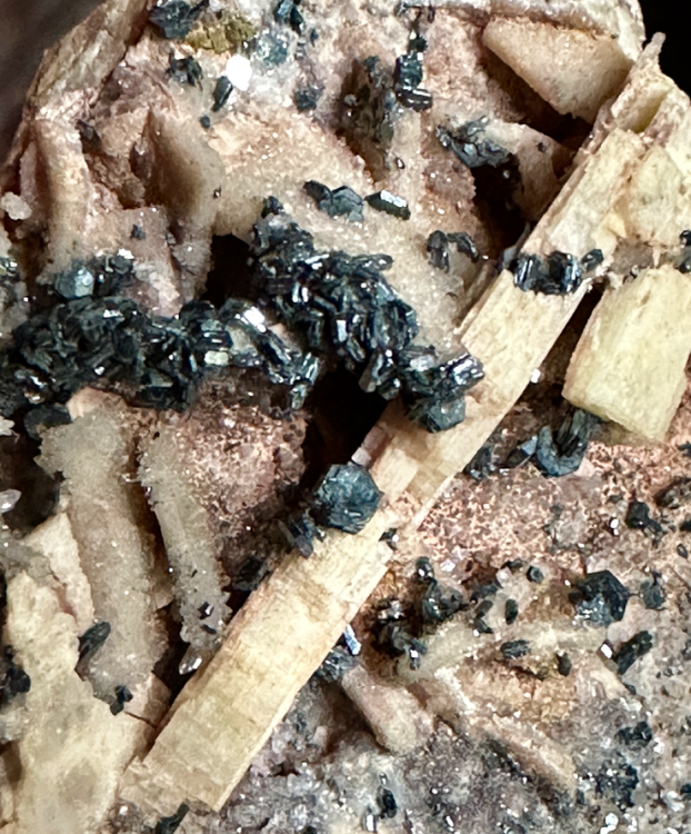 Capture d’écran 2024-09-30 à 19.59.43.png