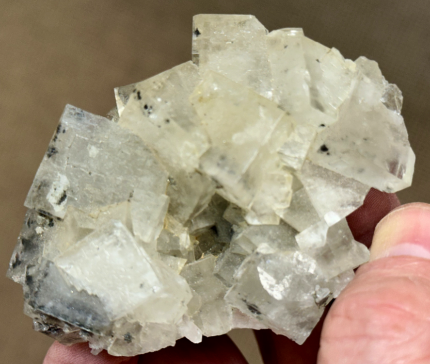 Capture d’écran 2024-10-16 à 23.21.46.png