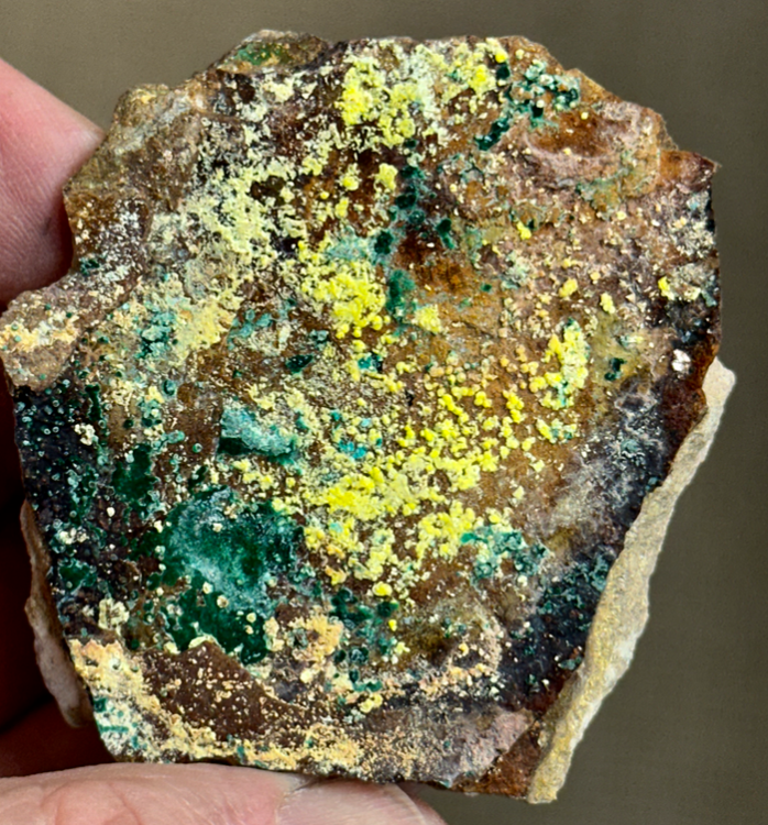 Capture d’écran 2024-10-19 à 18.05.23.png