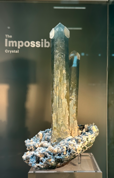 Capture d’écran 2024-10-25 à 22.45.15.png