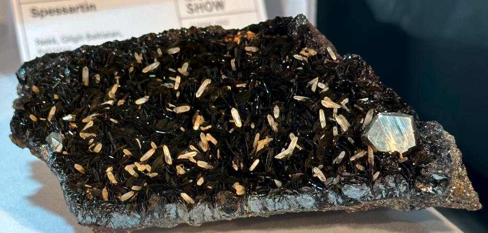 Capture d’écran 2024-10-25 à 22.47.27.png