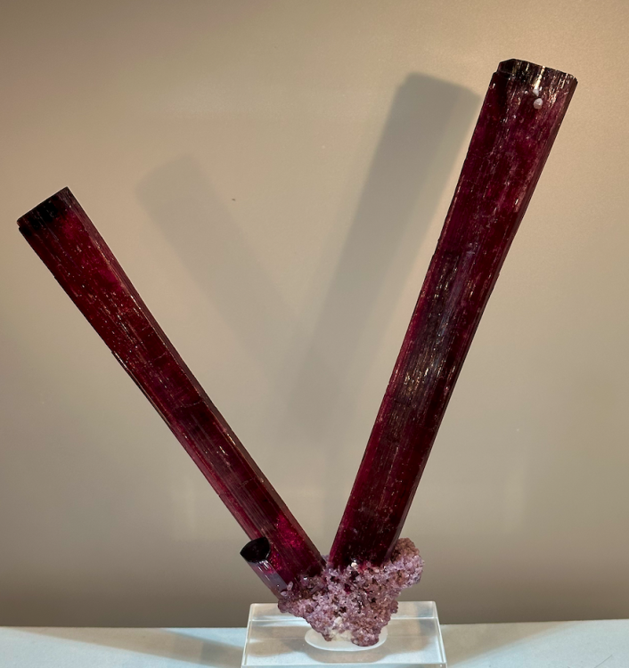 Capture d’écran 2024-10-27 à 22.46.06.png