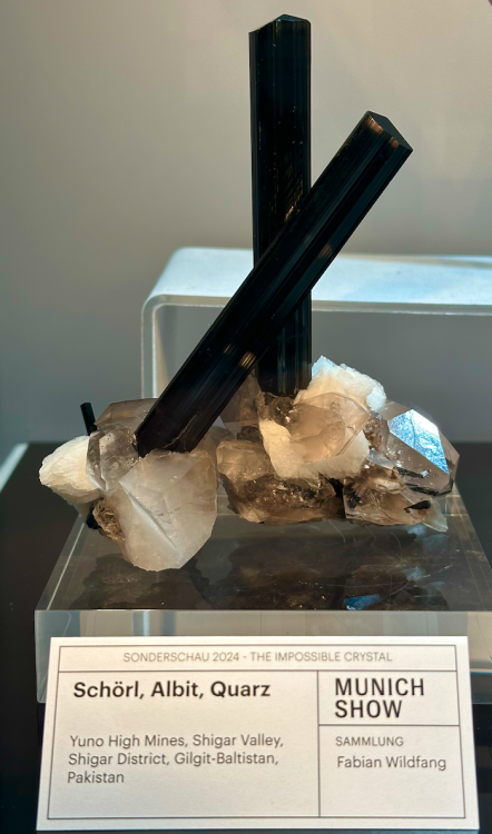 Capture d’écran 2024-10-27 à 22.46.35.png