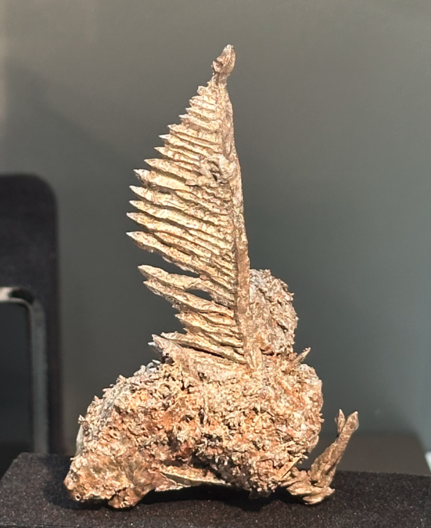 Capture d’écran 2024-10-27 à 22.48.38.png