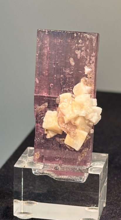 Capture d’écran 2024-10-27 à 22.50.13.png