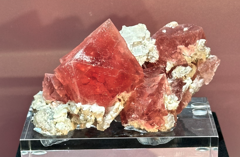 Capture d’écran 2024-10-27 à 22.50.53.png