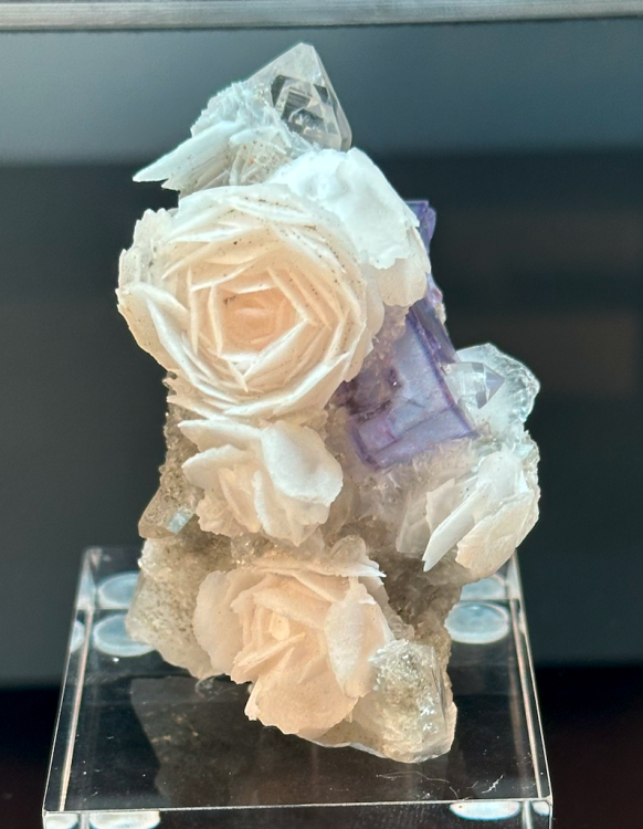 Capture d’écran 2024-10-27 à 22.51.43.png