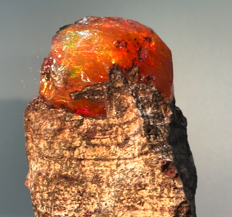 Capture d’écran 2024-10-27 à 22.53.12.png