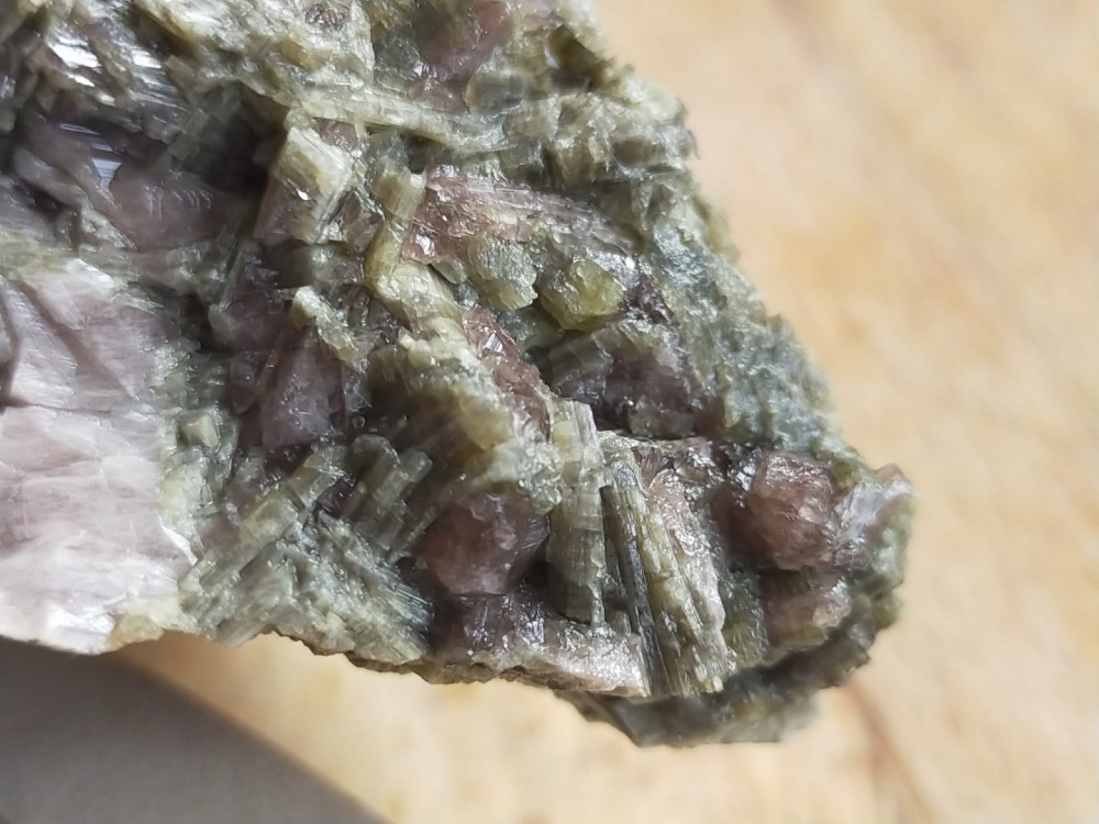 IMG20241010155923 (1).jpg