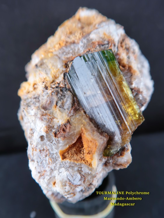 Tml-Tourmaline_Ambero_11.JPG
