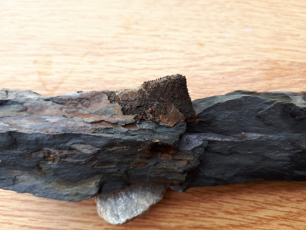 13-11-2022 (11) .jpg