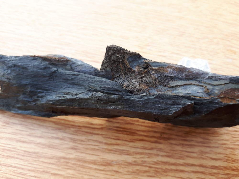 13-11-2022 (12) .jpg