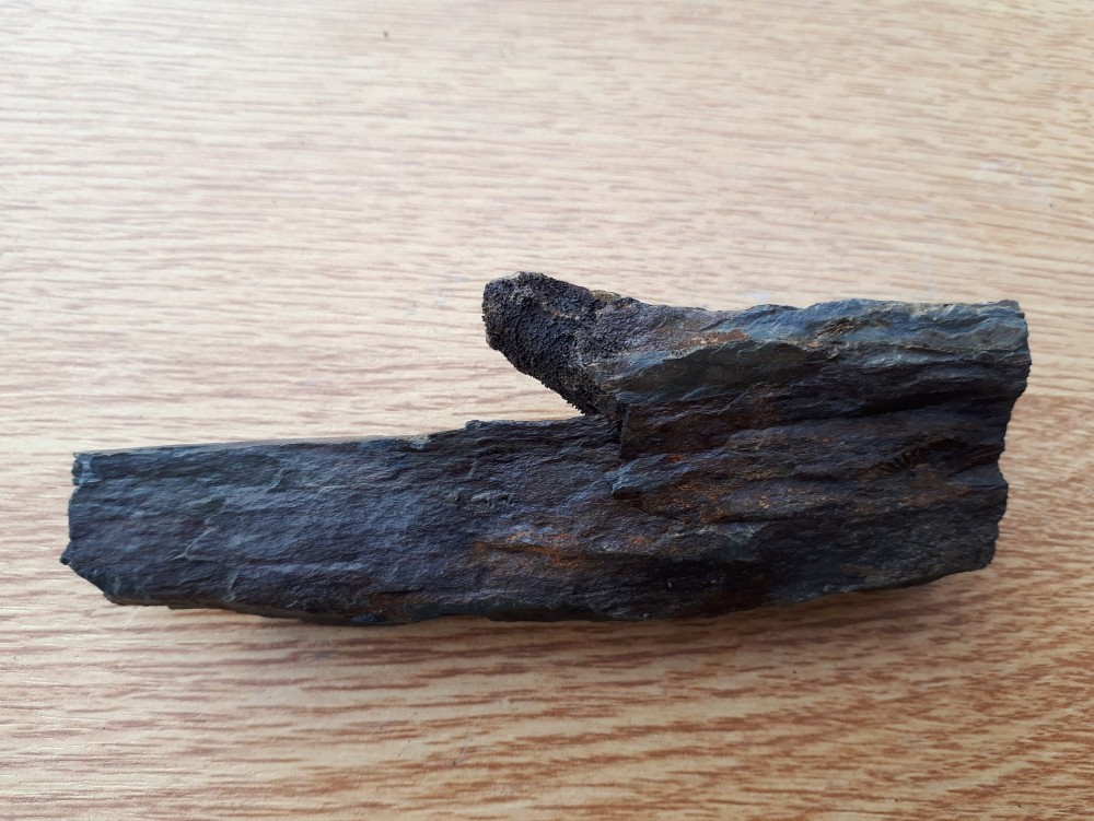 13-11-2022 (26) .jpg