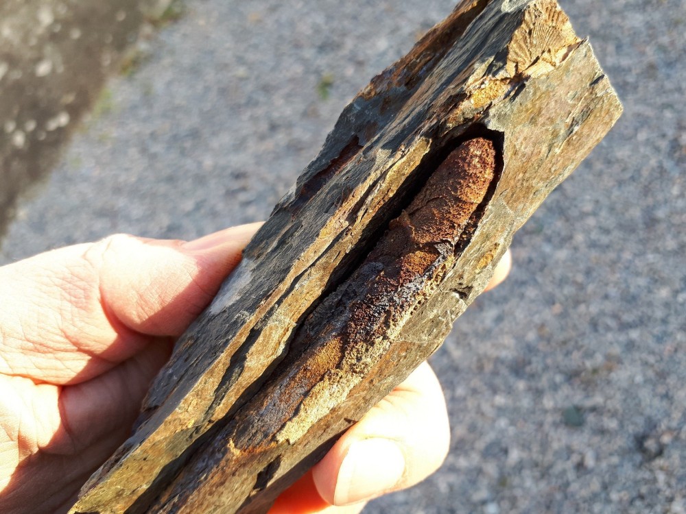 13-11-2022 (42) .jpg