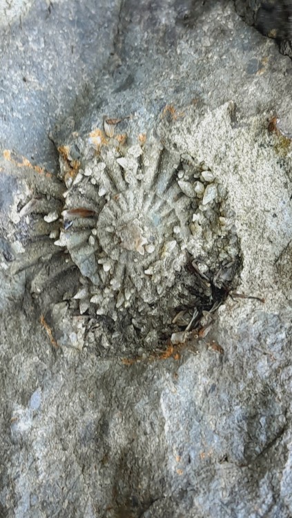 20241102_092603 (2).jpg