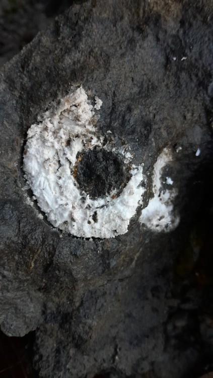 20241102_093327 (1).jpg