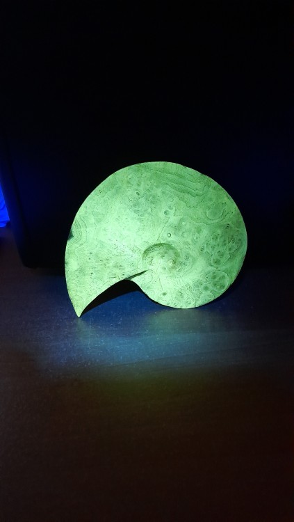 20241116_181712 (1).jpg