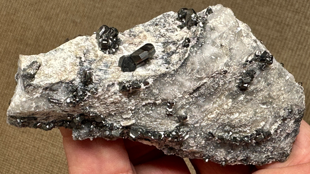 Capture d’écran 2024-11-11 à 09.55.52.png