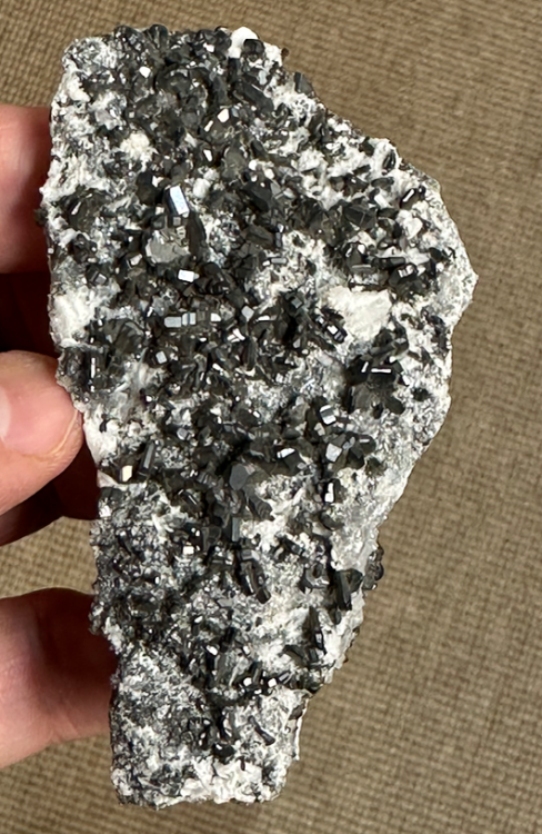 Capture d’écran 2024-11-11 à 09.56.24.png