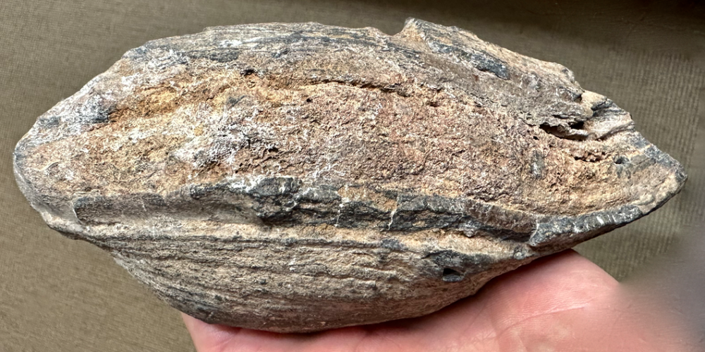 Capture d’écran 2024-11-15 à 19.56.18.png