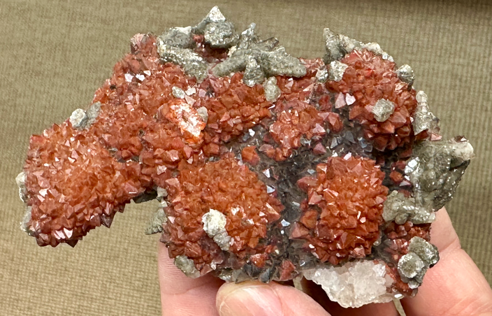 Capture d’écran 2024-11-17 à 01.13.22.png