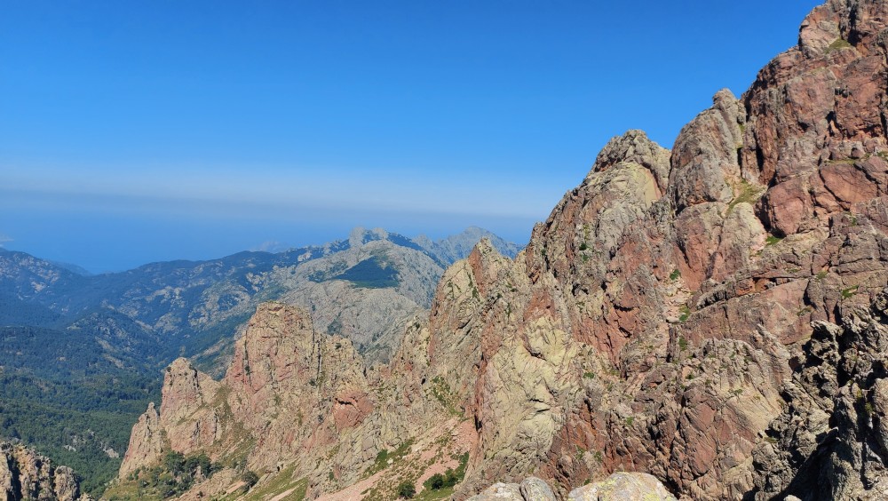 BOCCA GUAGNAROLA (1).jpg