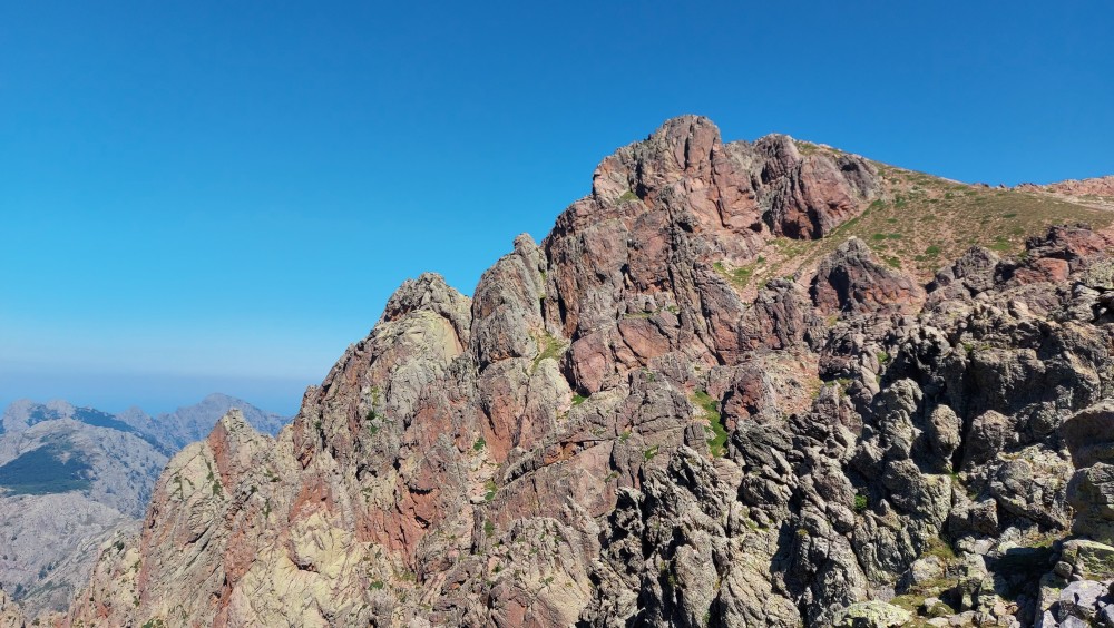 BOCCA GUAGNAROLA (2).jpg