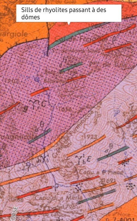 BOCCA GUAGNAROLA (3).jpg