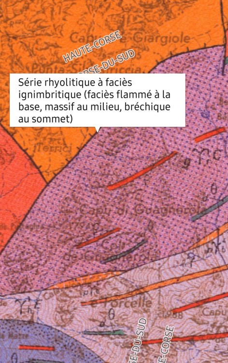 BOCCA GUAGNAROLA (4).JPG