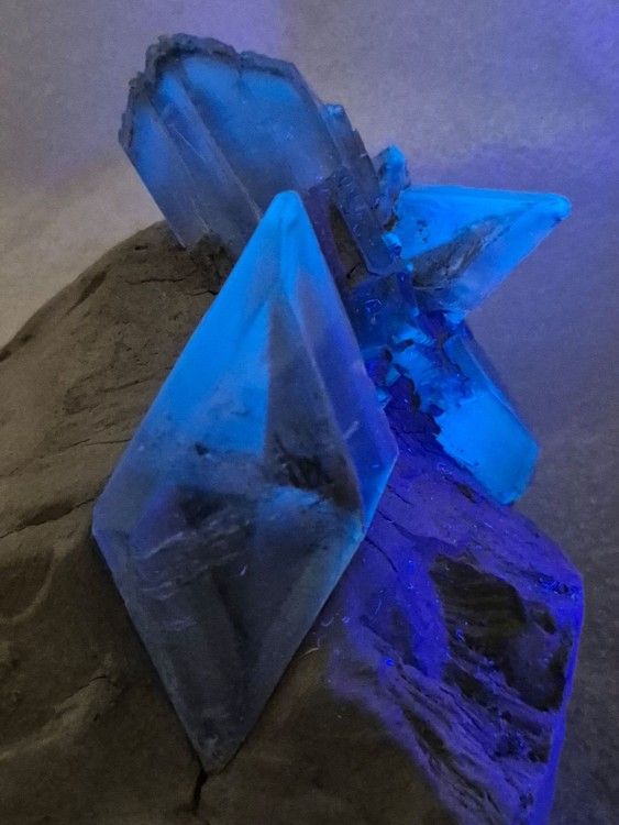 IMG_20241220_171244 (1).jpg