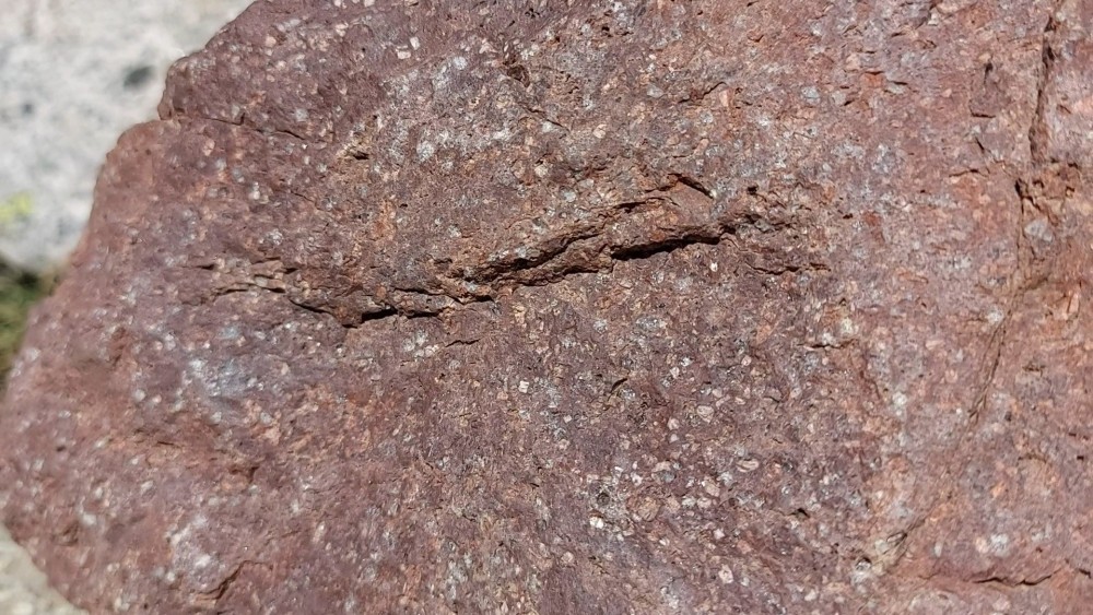 RHYOLITE GOLO RADULE  (2).jpg