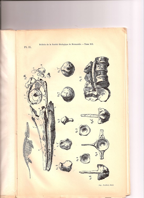 soc_geol_1886 (1).jpg