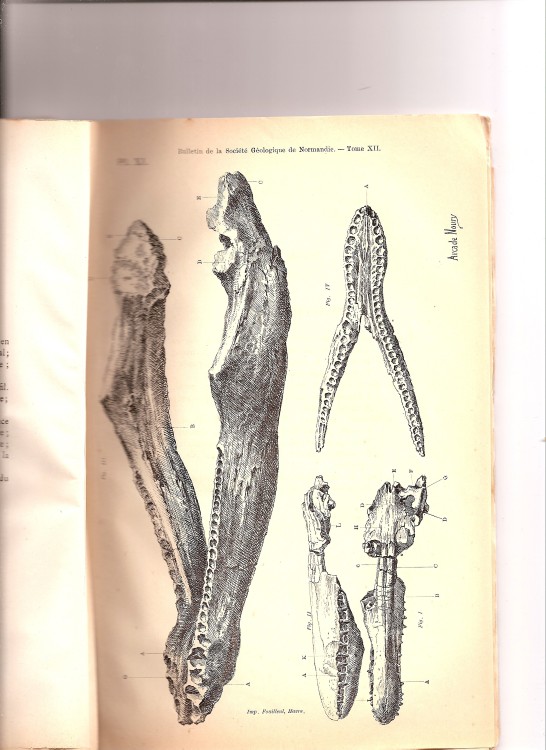 soc_geol_1886 (10).jpg