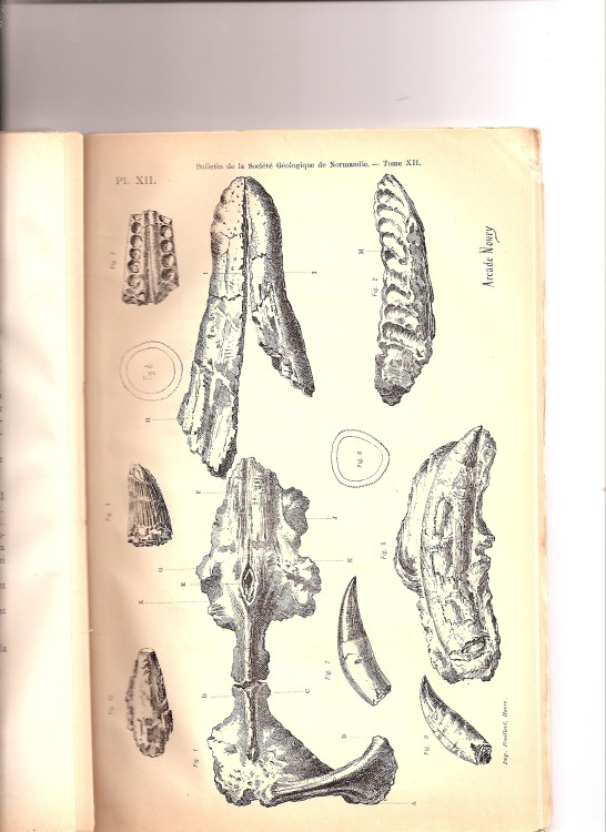 soc_geol_1886 (11).jpg