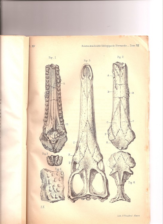 soc_geol_1886 (14).jpg