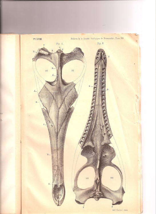soc_geol_1886 (17).jpg