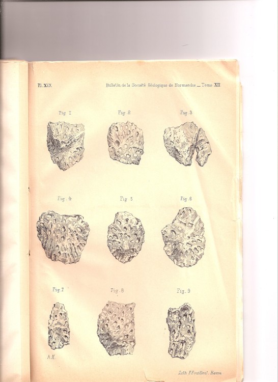 soc_geol_1886 (18).jpg