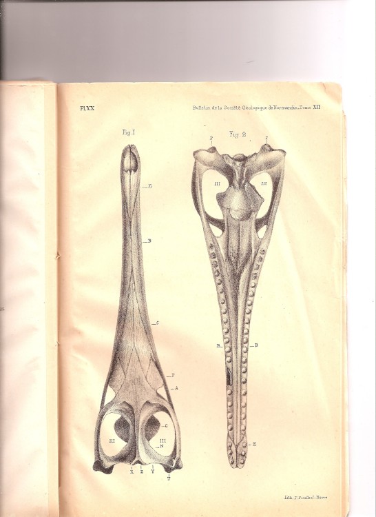 soc_geol_1886 (19).jpg