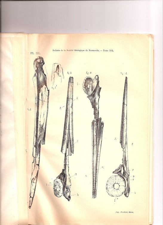 soc_geol_1886 (2).jpg