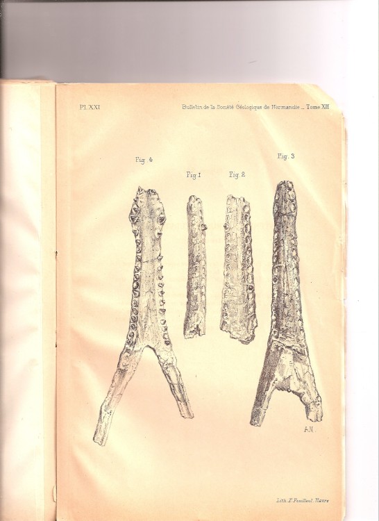 soc_geol_1886 (20).jpg