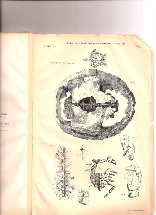 soc_geol_1886 (21).jpg