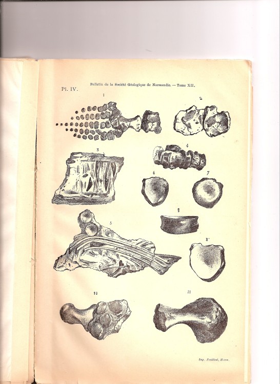 soc_geol_1886 (3).jpg
