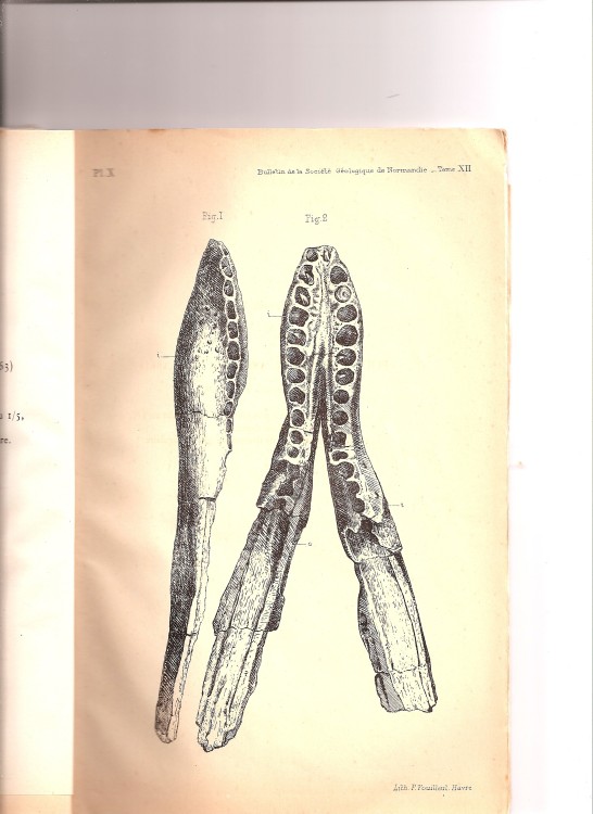 soc_geol_1886 (9).jpg