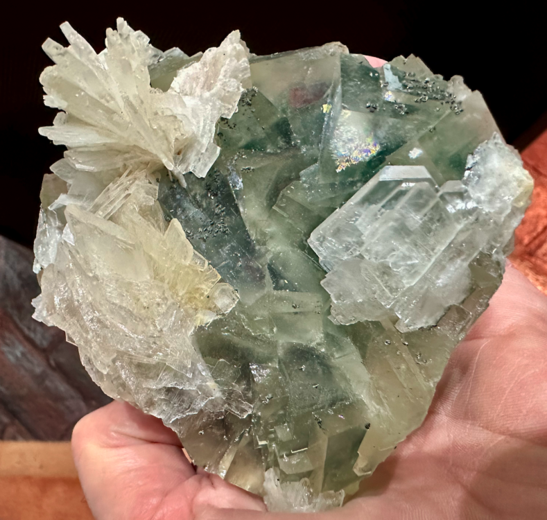 Capture d’écran 2025-01-02 à 23.30.57.png