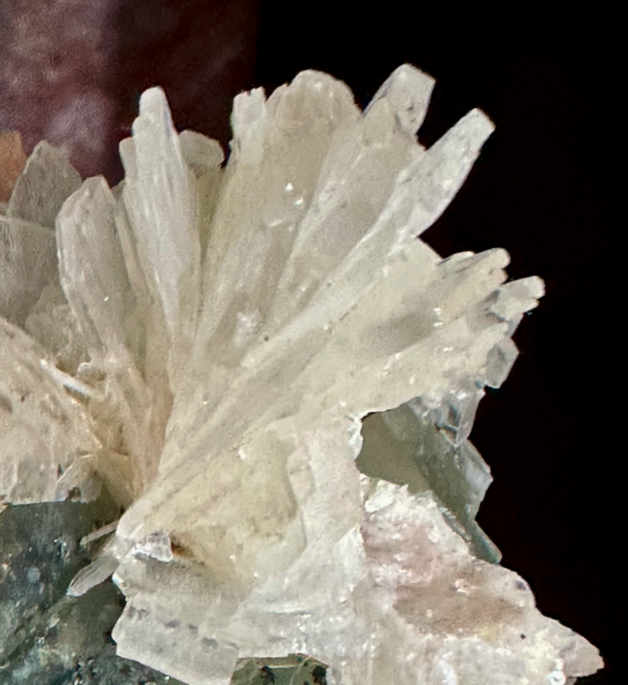 Capture d’écran 2025-01-02 à 23.31.32.png