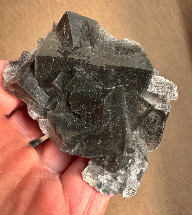 Capture d’écran 2025-01-02 à 23.38.01.png