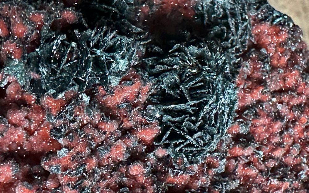 Capture d’écran 2025-01-08 à 00.39.43.png