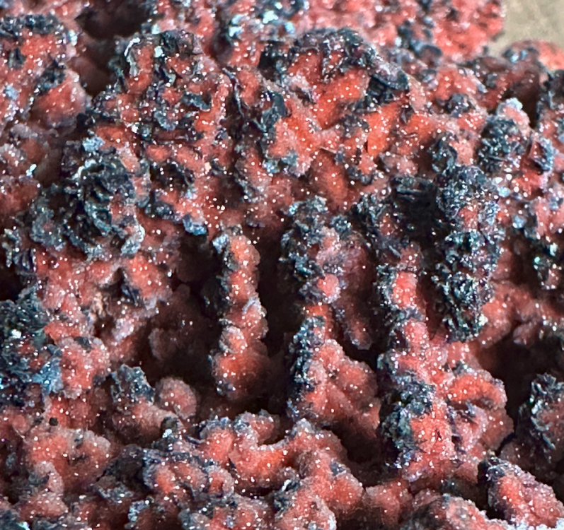 Capture d’écran 2025-01-08 à 00.40.03.png