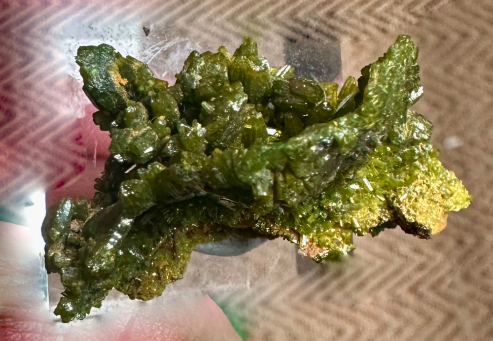 Capture d’écran 2025-01-10 à 13.06.32.png