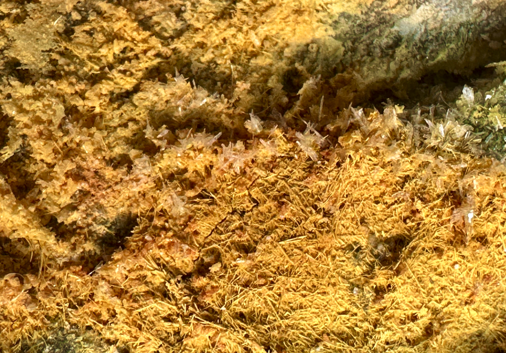 Capture d’écran 2025-01-10 à 13.12.50.png